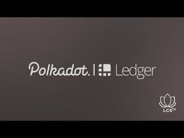 how many coins can ledger nano s hold
