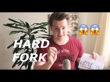 what is the bitcoin fork