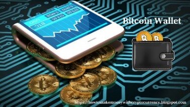 what bitcoin wallet to use